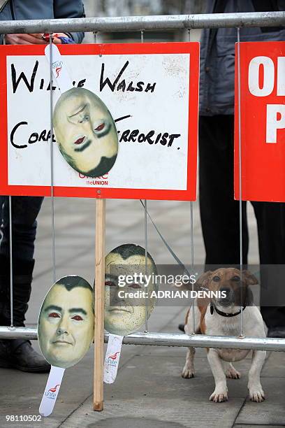 Dog barks at passing motorists besides cut-out placards of Willie Walsh, British Airways' Chief Executive, at a picket line on the third day of a...