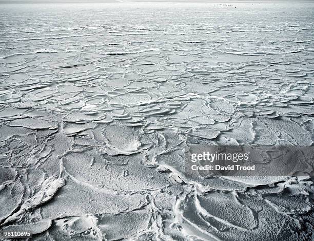 frozen sea - david trood stock-fotos und bilder