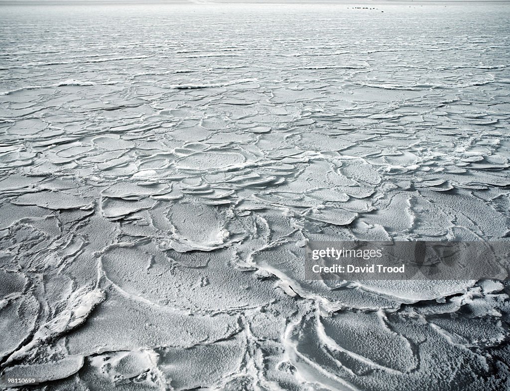 Frozen sea