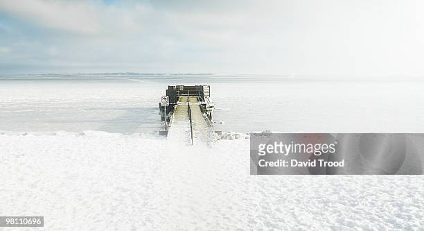 frozen jetty in the sea - david trood stockfoto's en -beelden