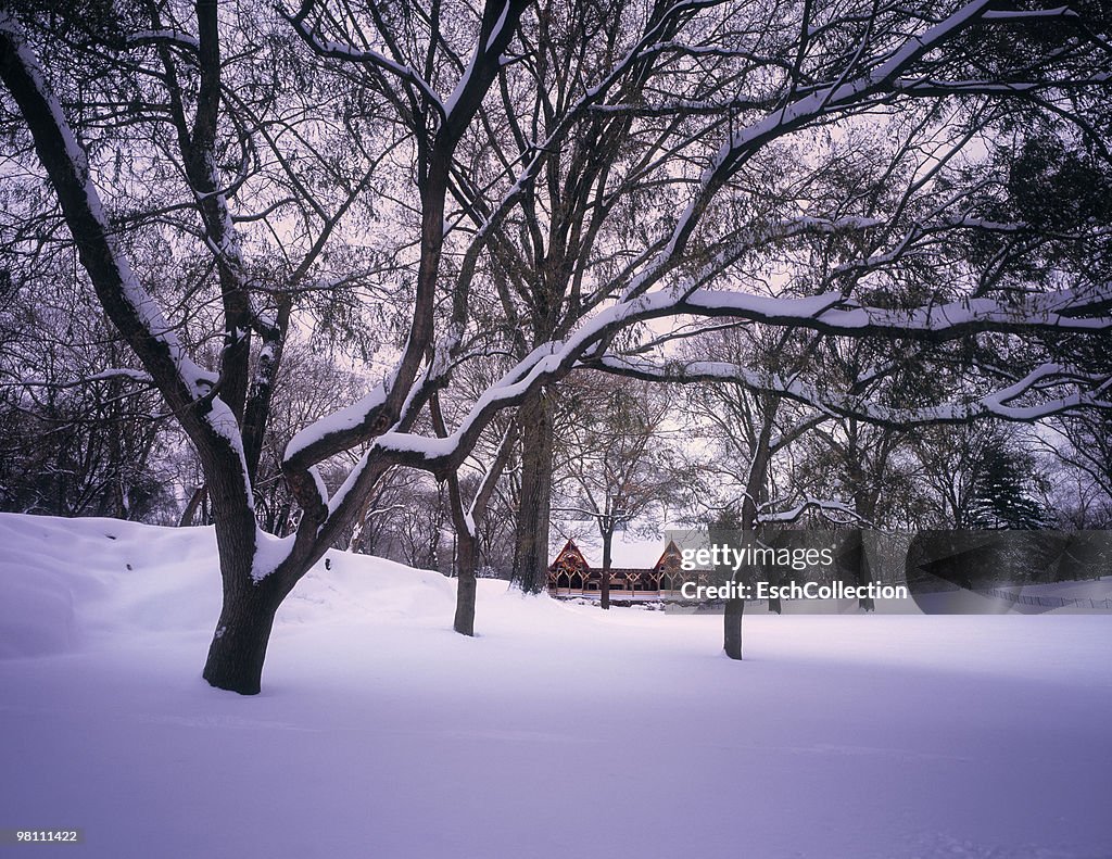 A snow covered Central Park in New York.