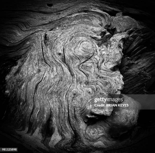 Brian Keyes Rome 133 Brian Keyes Stock Photos, High-Res Pictures, and Images - Getty Images