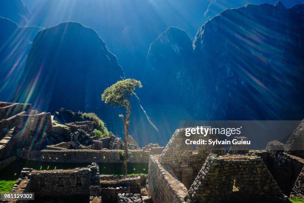 machu picchu sunrise - machu pichu stock pictures, royalty-free photos & images