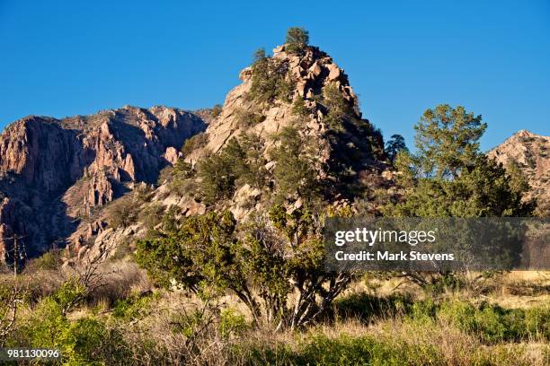 mountains and hillsides in the chisos basin - chisos mountains stock pictures, royalty-free photos & images