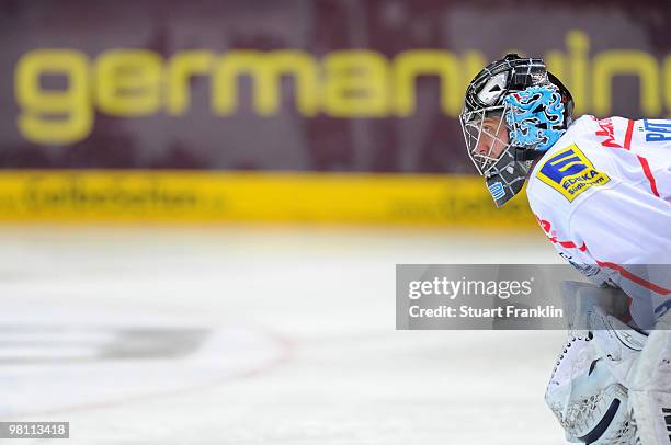 Goal keeper Dimitri Patzold of Ingolstadt during the DEL playoff match between Koelner Haie and ERC Ingolstadt on March 26, 2010 in Cologne, Germany.