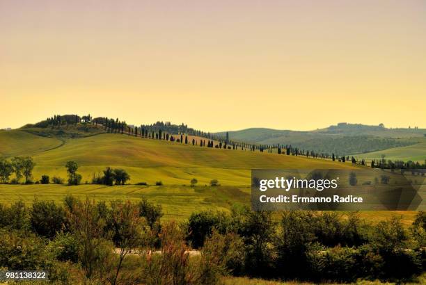 verso il podere - radice stock pictures, royalty-free photos & images