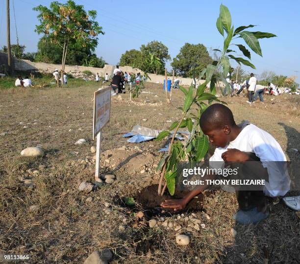 Haitian kid plants a tree on March 13, 2010 in Croix des Bouquets during a visit of FAO General Director Jacques Diouf in Haiti. Mr Diouf is in Haiti...