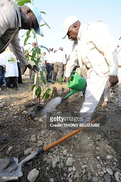 General Director of the FAO Mr Jacques Diouf waters a newly planted tree on March 14 2010 in Croix des Bouquets . Mr Diouf is in Haiti to support...