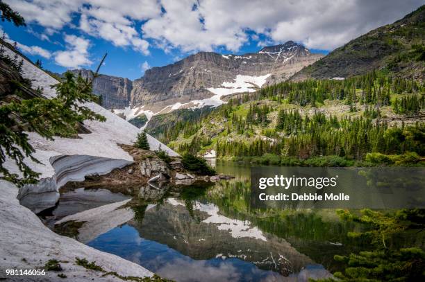 bertha lake in waterton national park, waterton, alberta, canada - waterton lakes national park stock pictures, royalty-free photos & images