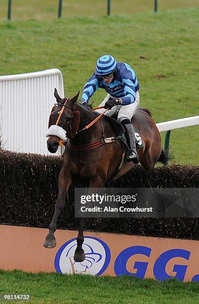 Paddy's Tern and Jason Maguire take the last to winThe Tipzone At gg.com Handicap Steeple Chase at Towcester racecourse on March 29, 2010 in...