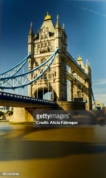 tower bridge on a sunny day - alicia bridges bildbanksfoton och bilder