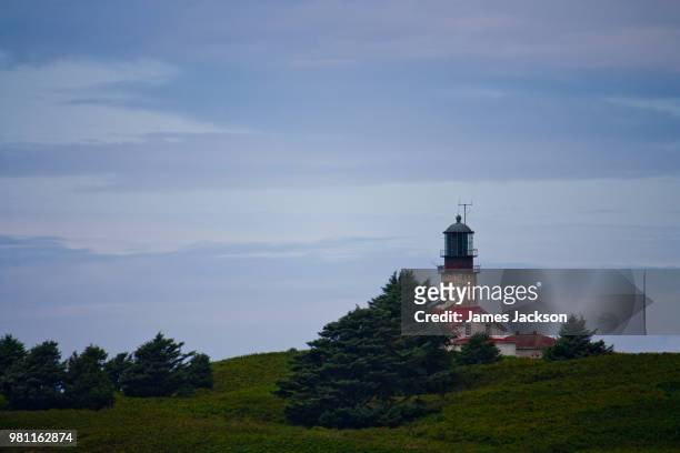 lighthouse off the coast of cape flattery - cape flattery 個照片及圖片檔