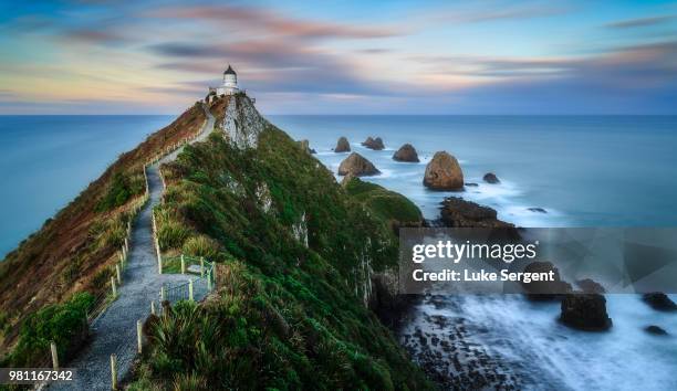 nugget point. - nugget point stock pictures, royalty-free photos & images