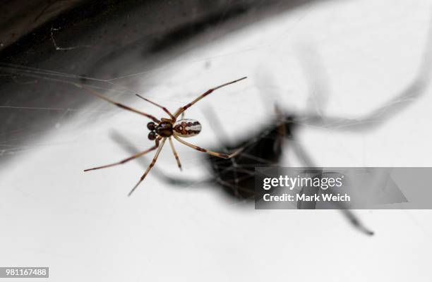 Trepdiation 307 Trepidation Stock Photos, High-Res Pictures, and Images - Getty Images
