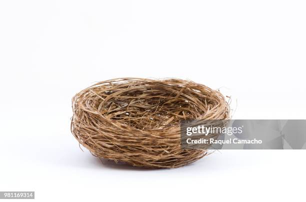 empty bird nest on white background - bird nest stock pictures, royalty-free photos & images