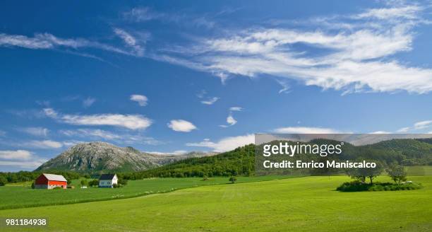 countryside - maniscalco stock pictures, royalty-free photos & images