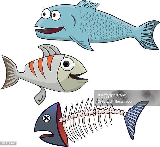 illustrazioni stock, clip art, cartoni animati e icone di tendenza di tre pesci - endoscheletro