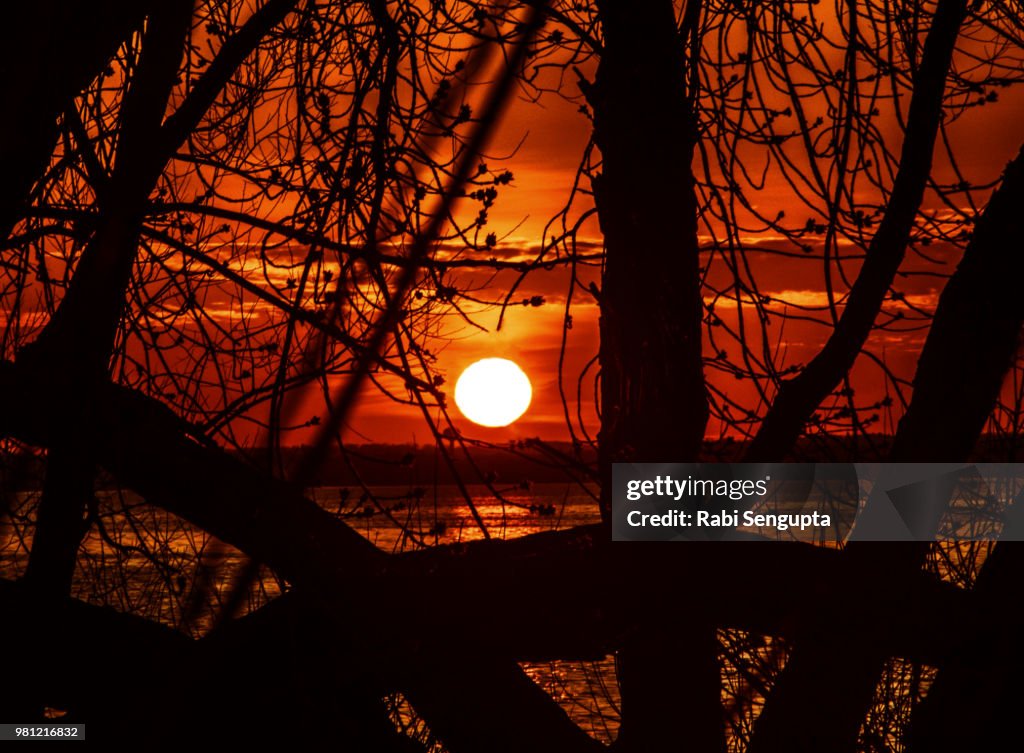 Madison Sunset