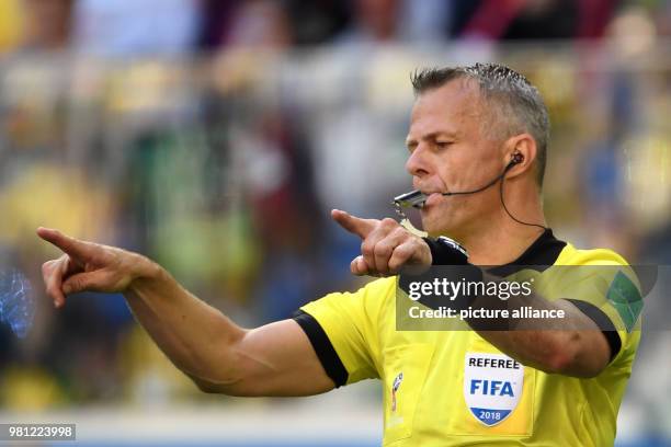 Sander Van Roekel 8,448 Sander Van Stock Photos, High-Res Pictures, and Images - Getty Images