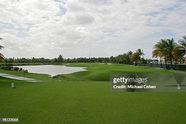 General view of the eighth tee box at Trump International Golf Club on March 12, 2010 in Rio Grande, Puerto Rico.