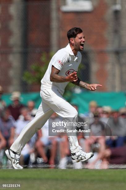 Jade Dernbach of Surrey celebrates after taking the wicket of Somerset's Josh Davey during day 3 of the Specsavers County Championship Division One...