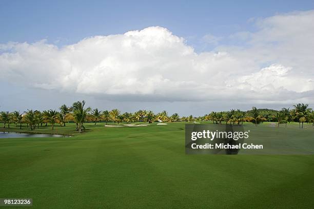 General view of the fifth fairway at Trump International Golf Club on March 12, 2010 in Rio Grande, Puerto Rico.