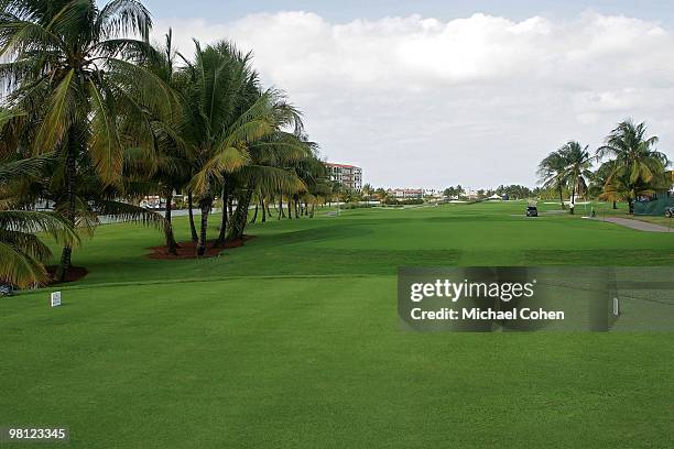 General view of the 14th tee box at Trump International Golf Club on March 12, 2010 in Rio Grande, Puerto Rico.