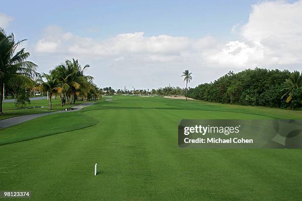 General view of the 15th tee box at Trump International Golf Club on March 12, 2010 in Rio Grande, Puerto Rico.