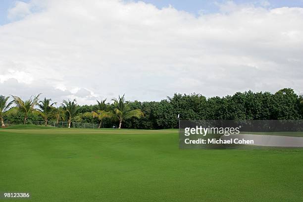 General view of the 15th green at Trump International Golf Club on March 12, 2010 in Rio Grande, Puerto Rico.