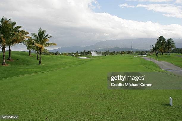 General view of the 13th tee box at Trump International Golf Club on March 12, 2010 in Rio Grande, Puerto Rico.