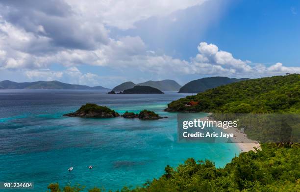 little islands by seashore covered with tropical forest, saint john, united states virgin islands - trunk bay bildbanksfoton och bilder