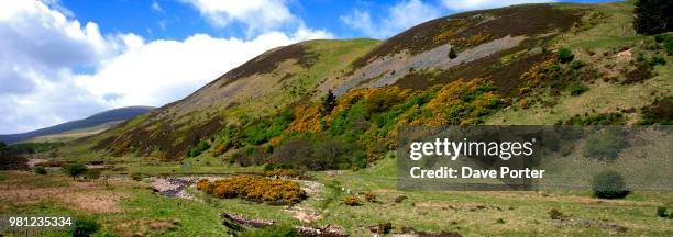 blackseat hill, scald hill, the cheviot hills, northumberland na - cheviot hills stock pictures, royalty-free photos & images