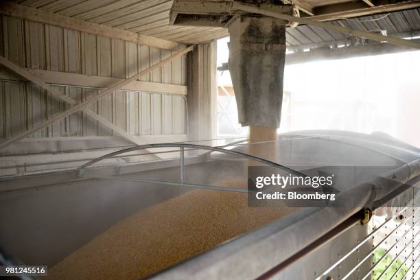 Corn is loaded into a truck at a grain elevator in Ohio, Illinois, U.S., on Tuesday, June 19, 2018. A rout in commodities deepened as the threat of a...