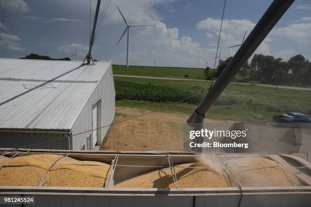 Corn is loaded into a truck on a farm near Walnut, Illinois, U.S., on Tuesday, June 19, 2018. A rout in commodities deepened as the threat of a trade...