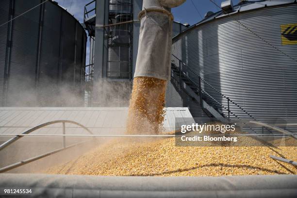 Corn is loaded into a truck on a farm near Walnut, Illinois, U.S., on Tuesday, June 19, 2018. A rout in commodities deepened as the threat of a trade...