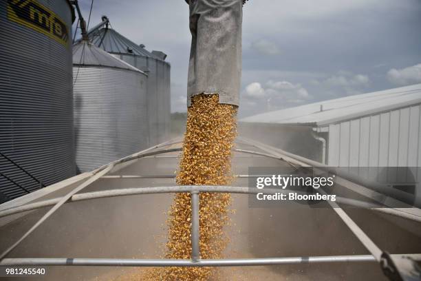 Corn is loaded into a truck on a farm near Walnut, Illinois, U.S., on Tuesday, June 19, 2018. A rout in commodities deepened as the threat of a trade...