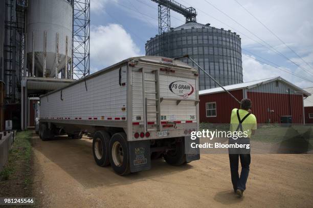 Truck driver removes a protective tarp from the top of a grain trailer before picking up a load of corn at a grain elevator in Ohio, Illinois, U.S.,...