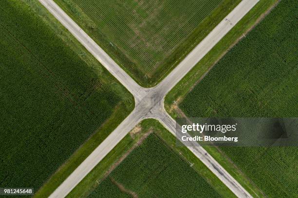 Soybean, top, and corn plants grow in fields bordering a rural intersection in this aerial photograph taken above Ohio, Illinois, U.S., on Tuesday,...