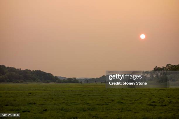 evening marsh argilla road - argilla bildbanksfoton och bilder