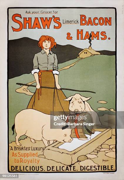 Vintage poster of farmer feeding pigs at trough