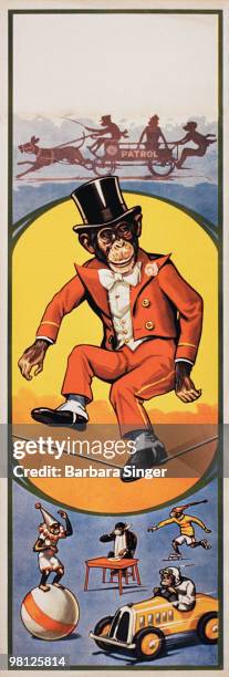 Vintage poster of circus chimpanzee standing on tightrope