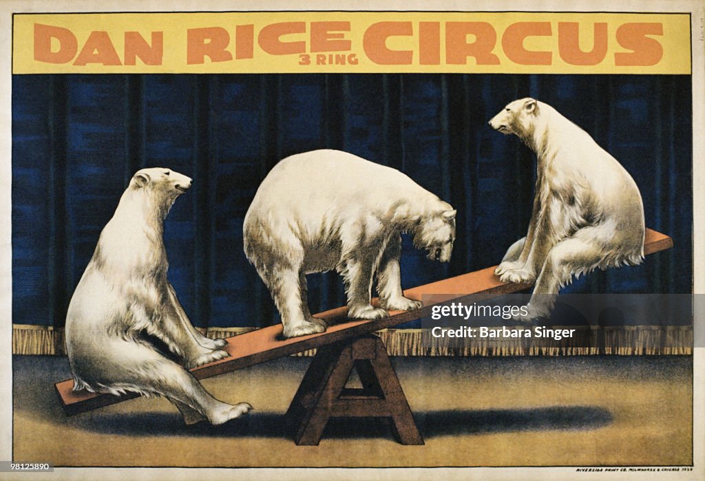Vintage circus poster of polar bears on seesaw
