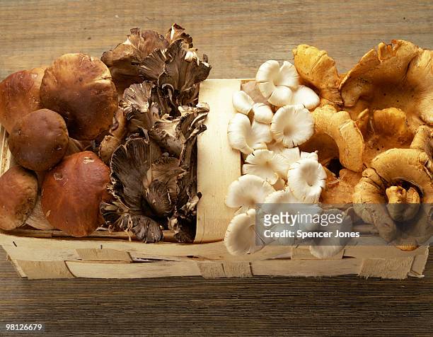 basket of assorted mushrooms - frances jones fotografías e imágenes de stock