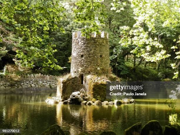 small castle - janela stock pictures, royalty-free photos & images