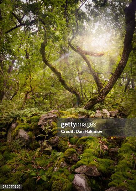 Inuhi 925 Dan Moss Stock Photos, High-Res Pictures, and Images - Getty Images