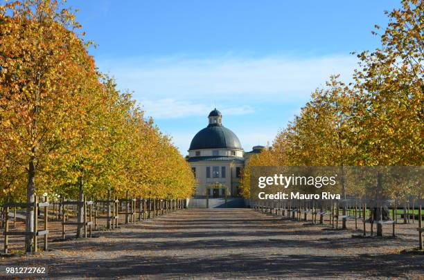 tree alley leading to drottningholm, stockholm, sweden - drottningholm palace stock-fotos und bilder