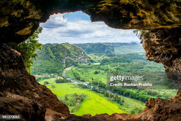 the window cave - puerto rico stock pictures, royalty-free photos & images