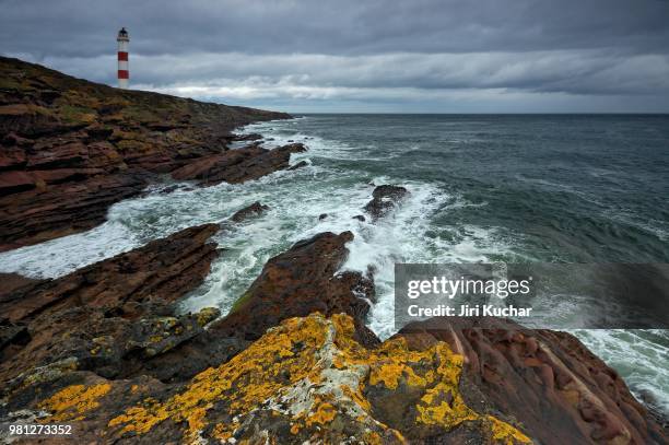 tarbat ness - kuchar stock pictures, royalty-free photos & images