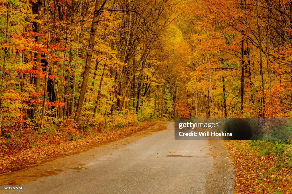 Vermont road