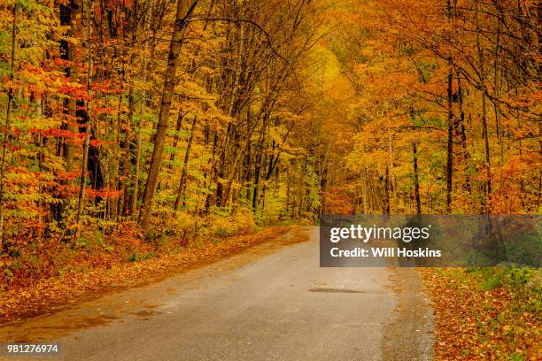 Vermont Road High-Res Stock Photo